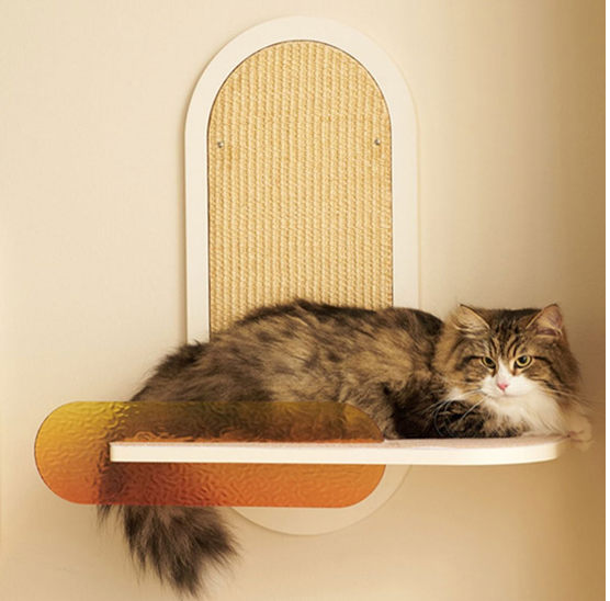 The Benefits of Cat Wall Shelves: Elevate Your Cat’s World