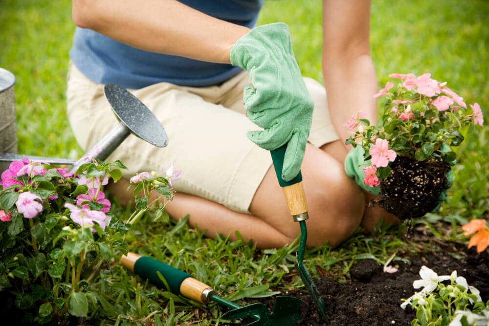 Are you a gardening enthusiast